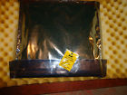 00.785.0391 Module, PLC, LCD, Board, Controller